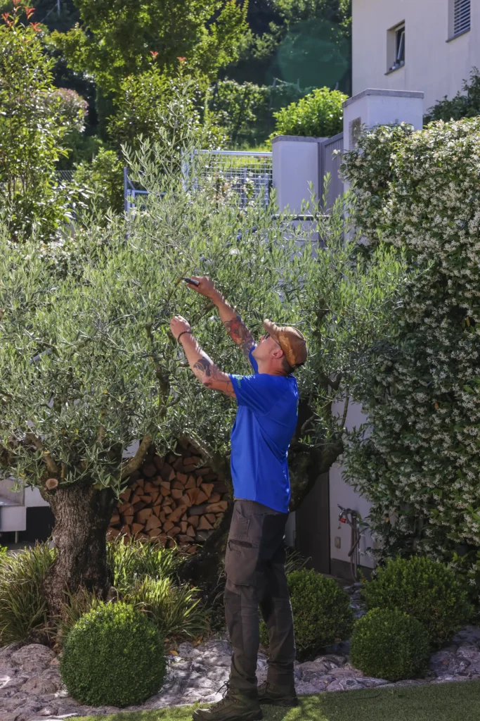 giardiniere professionista in azione