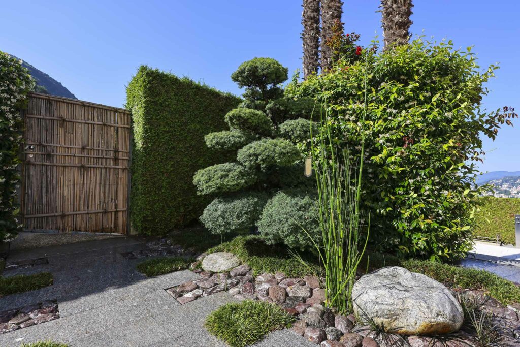 esempio di lavori di potatura alberi e arbusti