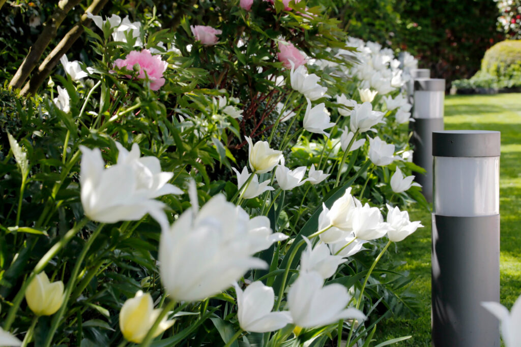 Acerbis Paesaggistica - esempi 1