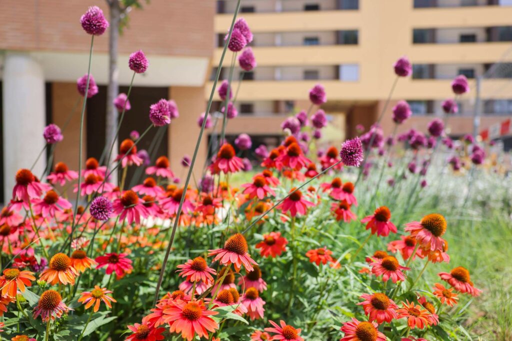 Acerbis Paesaggistica - esempi 2